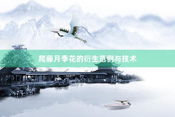 爬藤月季花的衍生范例与技术