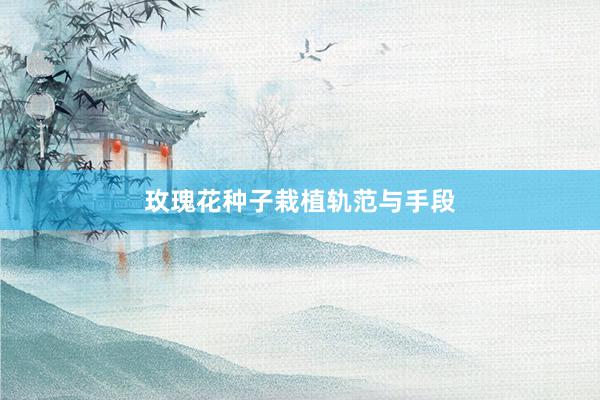 玫瑰花种子栽植轨范与手段