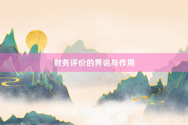 财务评价的界说与作用
